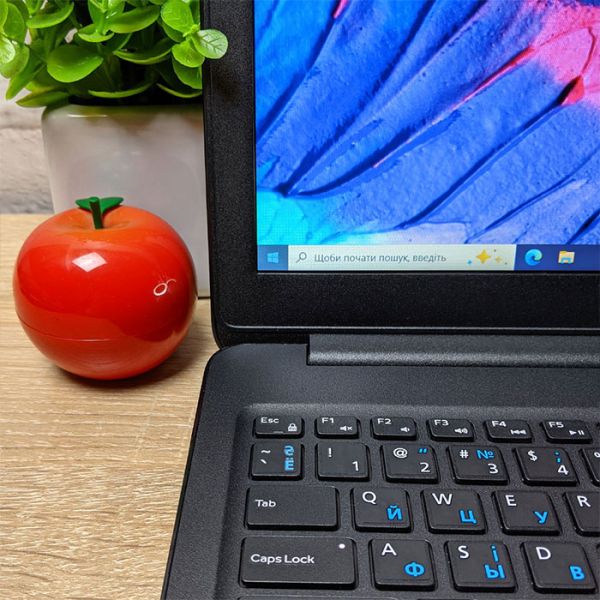 БУ Ноутбук Dell latitude 3500 15.6" FHD IPS i5 8265U 16GB RAM 256GB SSD