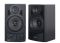 Акустическая система TF-10 Black Gemix
