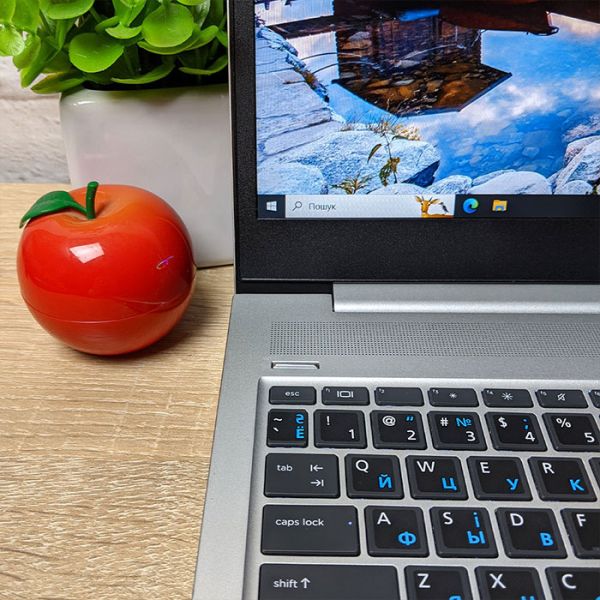 Производительный ноутбук HP ProBook 450 G6 15.6'' i5 8265U 8GB 256GB SSD