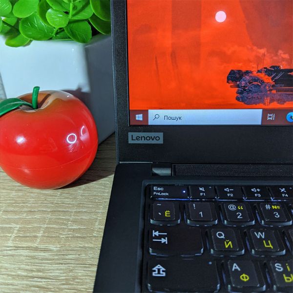 БУ Ноутбук Lenovo ThinkPad T495 14" FHD IPS Ryzen 3 PRO 3300U Vega 6 8GB + 256GB SSD