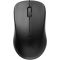 Мышь беспроводная Rapoo 1620 Wireless Black